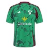 Maillot de Foot Albacete Third 2024-25 Maillot de Foot Albacete Third 2024-25